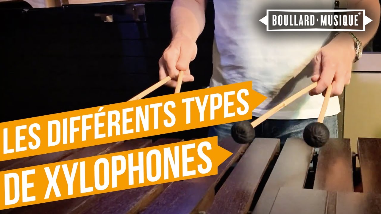 Les différents types de Xylophone ! 