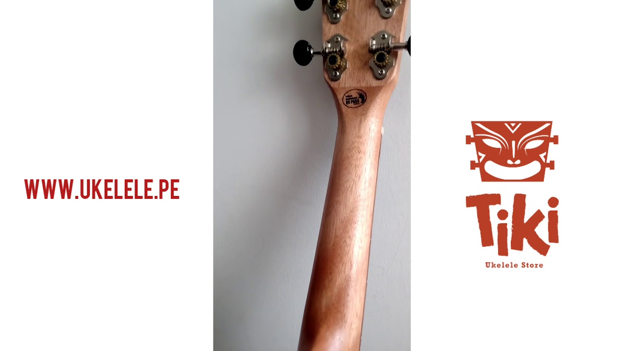 Ukelele NUP310 Flight