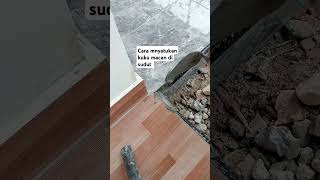 cara menyatukan kuku macan di sudut yg benar