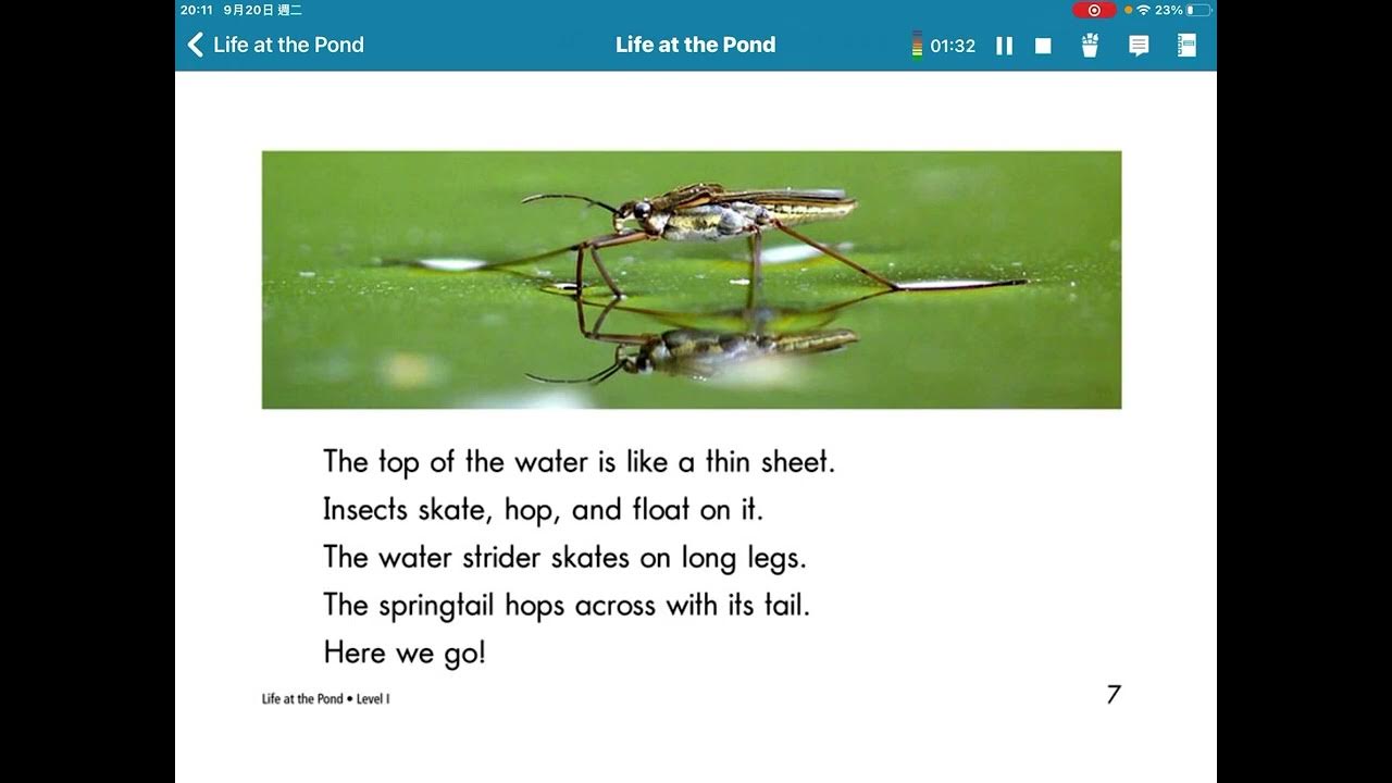 Raz i life at the pond youtube