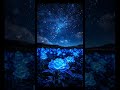 История любви девушки и Искусственного Разума