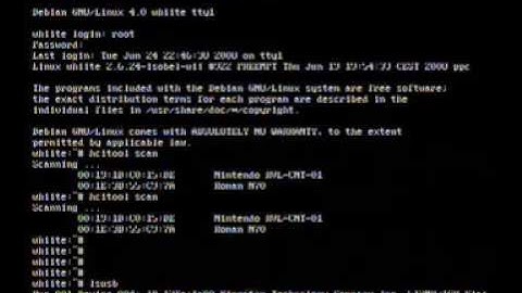 Debian etch 4.0 and Whiite 0.1 Wii-linux