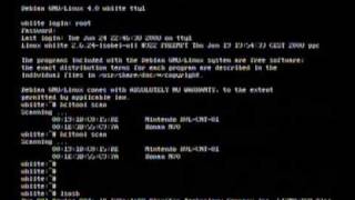 Debian etch 4.0 and Whiite 0.1 Wii-linux