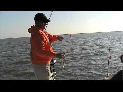 Louisiana Speckled Trout Fishing with Capt.Phil Robichaux's Fishing Charters