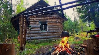 видео: Остановились на ночлег в таёжной избе. В этой реке рыба сама запрыгивает в лодку. Рыбалка на севере. картинка: Остановились на ночлег в таёжной избе. В этой реке рыба сама запрыгивает в лодку. Рыбалка на севере.