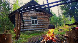 Остановились На Ночлег В Таёжной Избе. В Этой Реке Рыба Сама Запрыгивает В Лодку. Рыбалка На Севере.