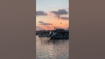 آيات عطرة من الذكر الحكيم