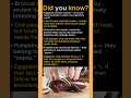 Wait… Eggplants Have Nicotine? #didyouknow #fyp #facts