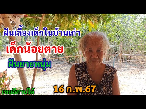 ฝันเลี้ยงเด็กในบ้านเก่า เด็กน้อยตาย ฝันยายหนุ่ม 16/2/67