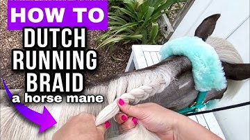 Horse Braiding Tutorial - DUTCH Running Braid