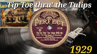 1929 Perfect 78 Record - Tip-Toe Thru The Tulips With Me Benjamin Franklin Hotel Dance Orch - Wow