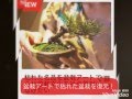 枯れた盆栽を復元!世界初のJOFAの盆栽アート技術〜Technology that can restore the dead tree bonsai