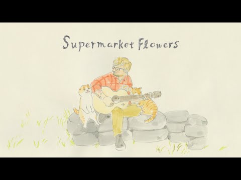 Ed Sheeran – “Supermarket Flowers” Yoriko Hoshi Version