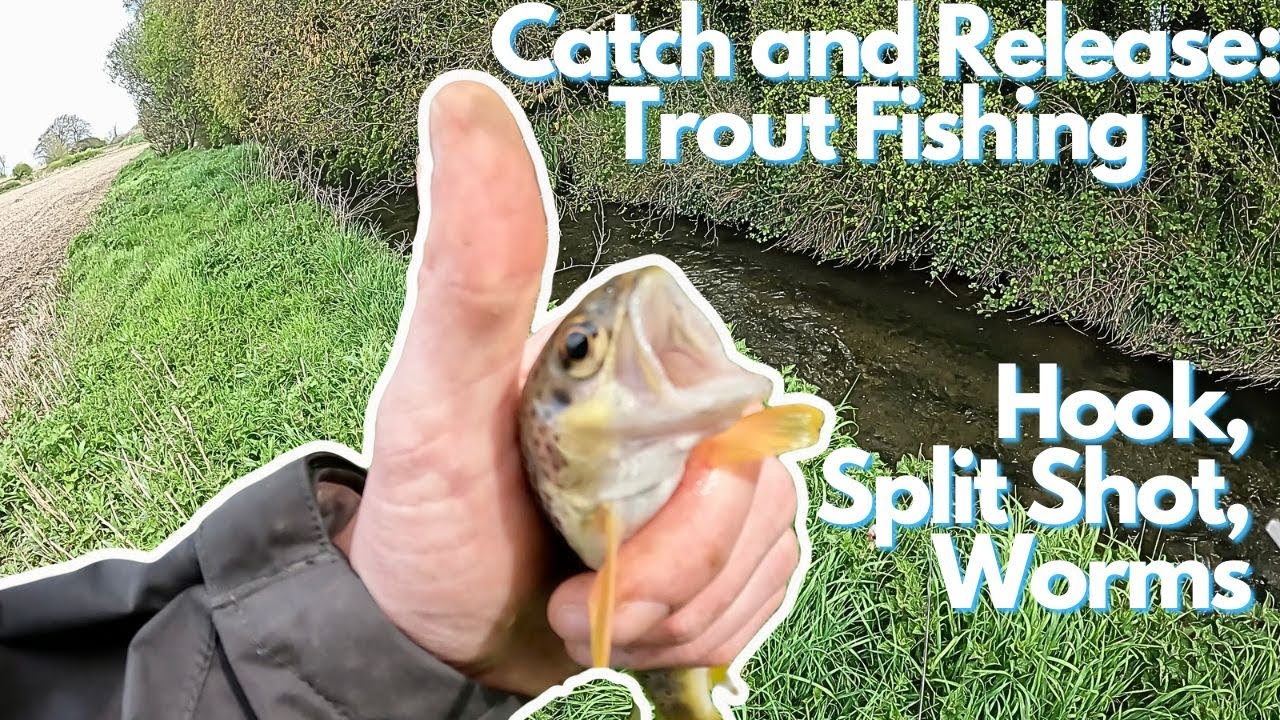 Catch and Release: Trout Fishing with Hook, Split Shot, and Worms