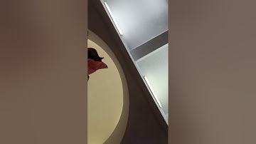 صلاة العشاء ما تيسر من سورة النازعات