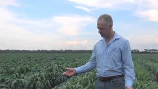 LandcareNT - Episode 14: Cover Crops
