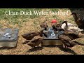 Duck Water System