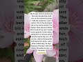 Dadjokes Funny Memes Comedy Fyp Shorts Trending Dadjokes Funny Memes Comedy Fyp Shorts Trending