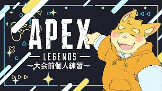 【ゲーム配信】大会前！個人練習APEXlegends【ハムスターVtuber/日葵ときと】