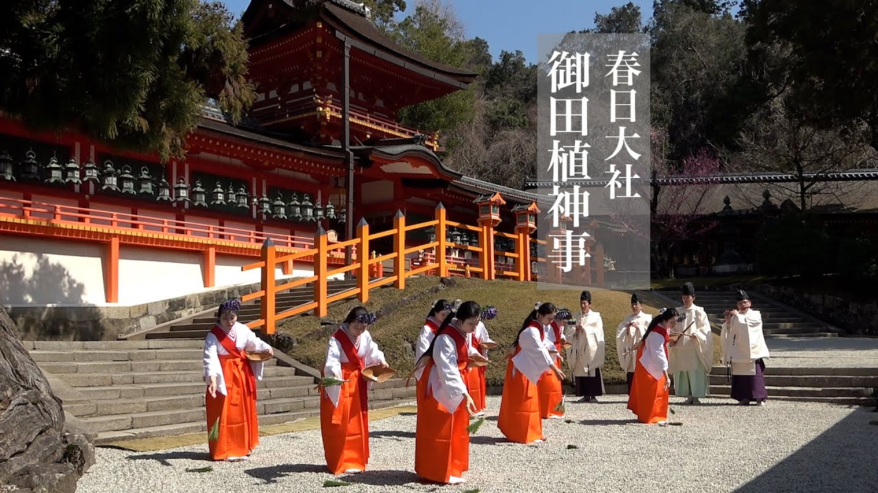 優雅な巫女（みこ）の舞 御田植神事（おたうえしんじ）春日大社 - YouTube