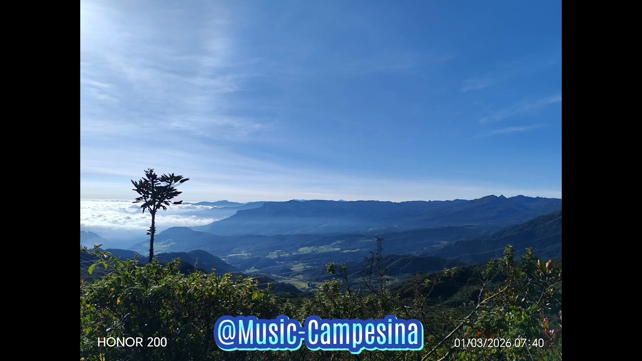 EL TRAMPOSO JOSÉ A BEDOYA Y SU CONJUNTO