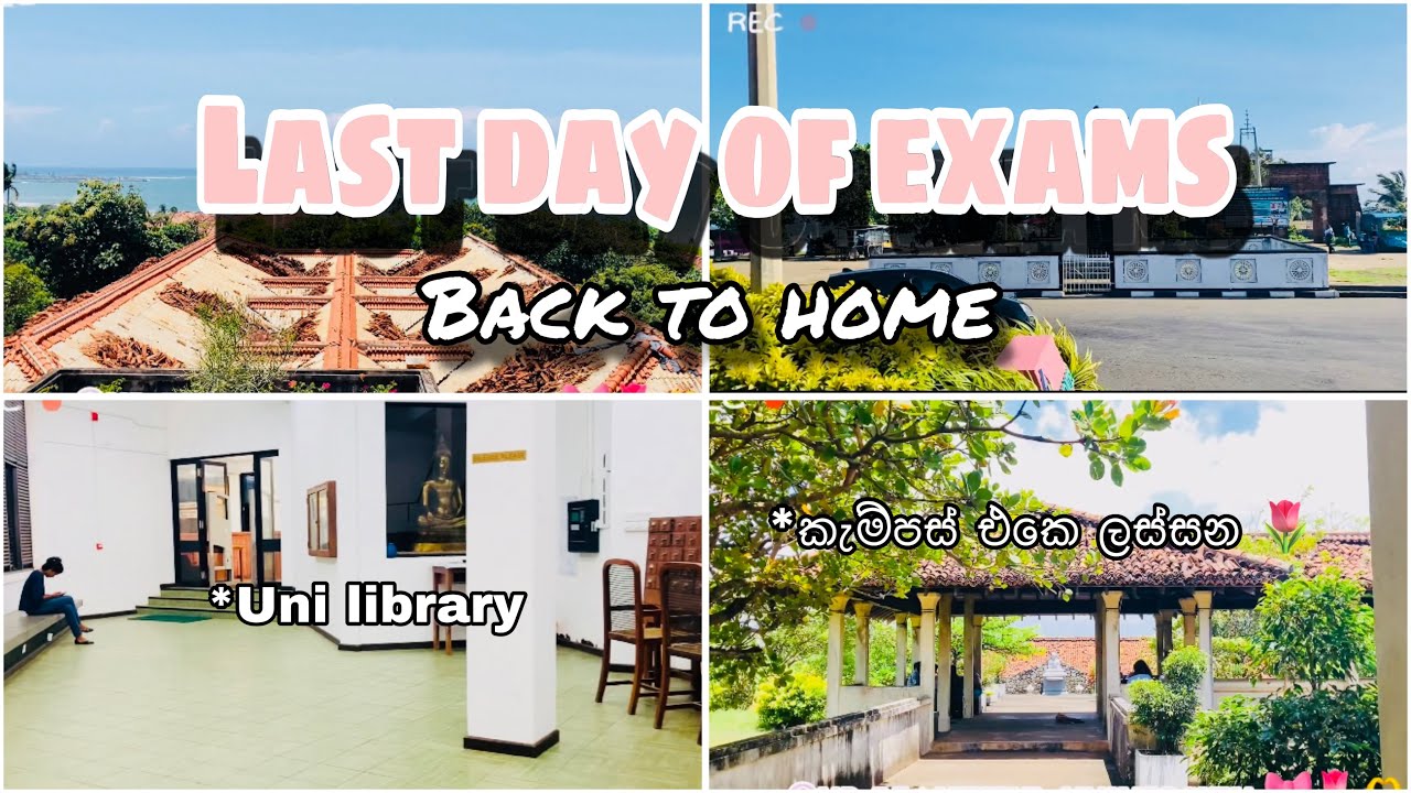 Exam එකෙ අන්තිම දවස🎀🦋📚|කැම්පස් එකෙ ලස්සන බලමු🙆🏻‍♀️🧚‍♀️| beautiful sea view🌊🌅| #universityofRuhuna✨🍃
