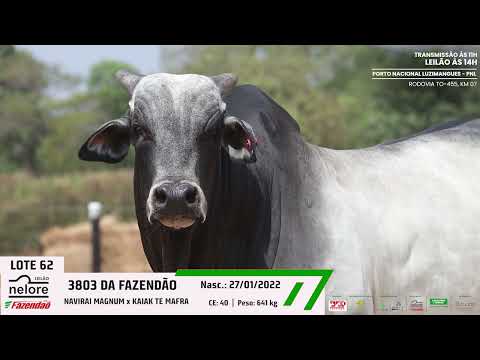 LOTE 62