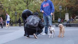 MANNEQUIN CHALLENGE PRANK IN NYC!!!!! (On Strangers)