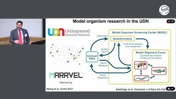 Model Organism Screening in the Diagnosis of Rare Genetic Diseases - Ronald Lemire Lecture