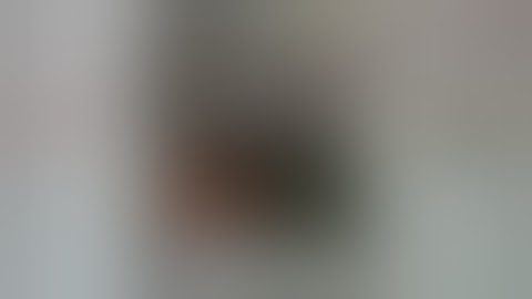 Bob Probert vs Lyle Odelein Round 3