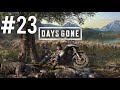DAYS GONE: #23 NOVAS TAREFAS - (SEM COMENTÁRIOS) - PS5 (DUBLADO)