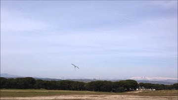 Align T-rex 700E V2 DFC. Javier Verdegay