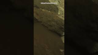 Mars Sol 1792: A Very Unusual Rock #NASA #shorts