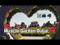 Miracle Garden Dubai 🌻🏆 Gina's World Records (📽️ 02)