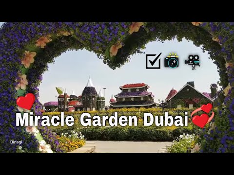 Dubai Miracle Garden