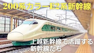 【200系カラーE2系】とある上越新幹線運用に就いた日のE2系etc...