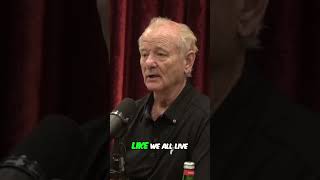 Wes Anderson Turns Every Movie Into a SLEEPOVER? Bill Murray Explains