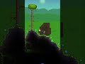Background Wall has a secret in Terraria
