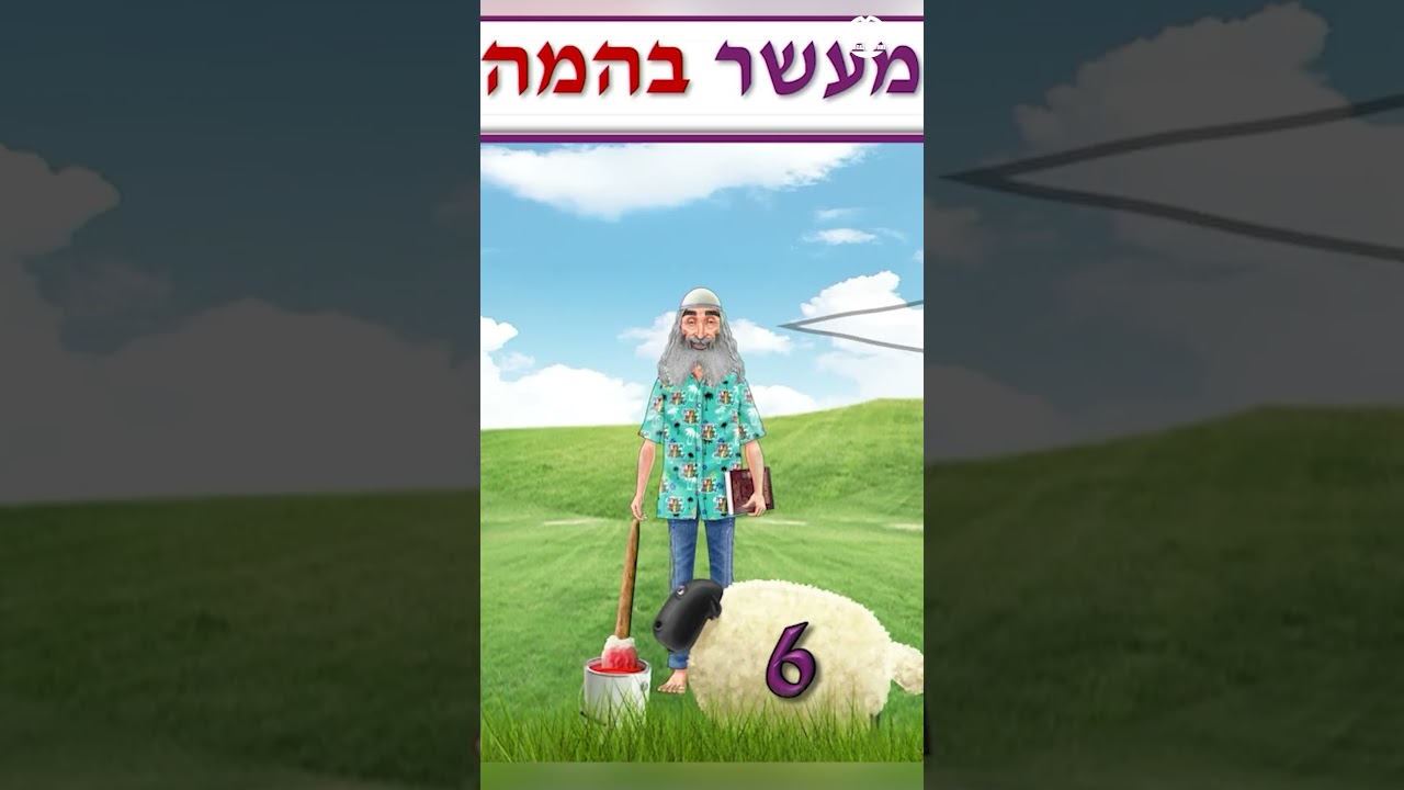 Uploads from Mercaz Daf Yomi by R' Eli Stefansky