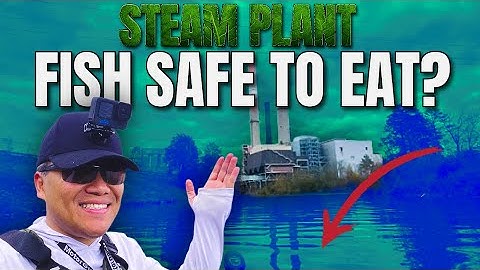 Everything is BITING! Fall Fishing in warm water Discharge in the Steam Plant (Catch, Clean,Cook)