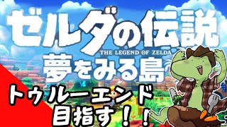 【ゼルダの伝説 】トゥルーエンド目指すぞ！！【翁とかげ】