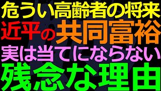 12-11 英語メディアが”人口危機”というので見てみた！これ”共同富裕”で解決できる？