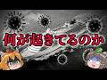 【ハンタウイルス】今世界で何が起きているか知って下さい…