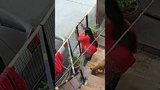 Hallo Guys Jhamri Kiska Wait Krri H