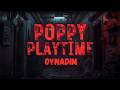 POPPY PLAYTİME EDİTİ GİBİ BİŞEY