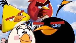 Angry Birds Weapon Version