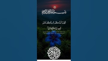 #تلاوة_خاشعة بصوت جميل جدا #قرآن #قران_كريم #ماهر_المعيقلي #korean #اكسبلور #ترند