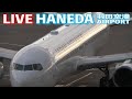 🔶LIVE📡 '25/6/1 羽田空港 T1 HANEDA INTERNATIONAL AIRPORT plane spotting