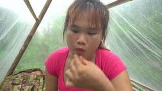 Solo Camping: Girl camping in the rain on the island - Find firewood to cook