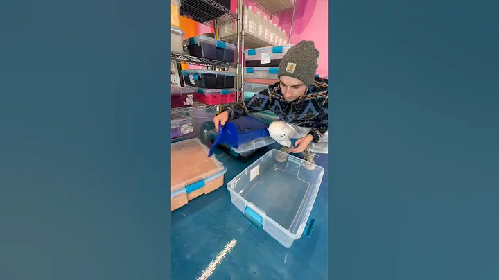 Who Keeps Spilling Slime in the Warehouse???